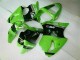 2000-2002 Green Black Kawasaki ZX6R Bike Fairings