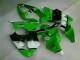 2000-2002 Green Black Kawasaki ZX6R Motorbike Fairing