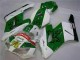 2004-2005 Green White Honda CBR1000RR Motorcycle Fairing