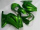 2008-2012 Green Ninja Kawasaki EX250 Motor Bike Fairings